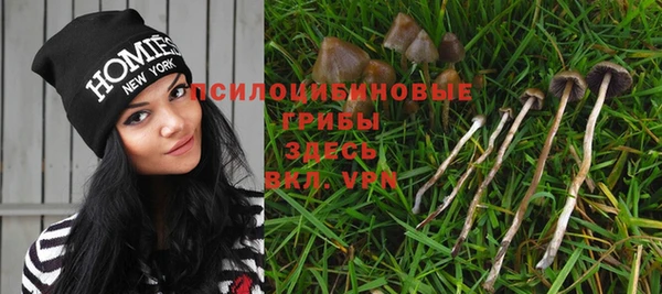 винт Баксан