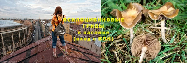 мет Балахна