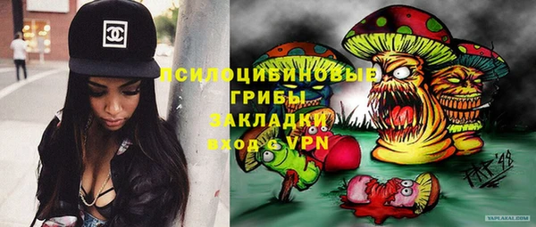 винт Баксан
