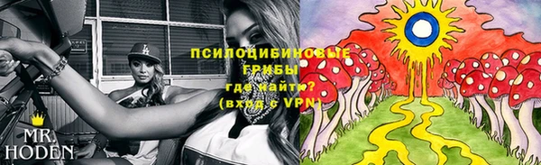 мет Балахна