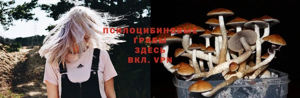 винт Баксан