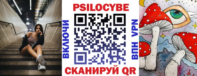 хочу наркоту  ОМГ ОМГ tor  Галлюциногенные грибы Psilocybine cubensis  Белоозёрский 
